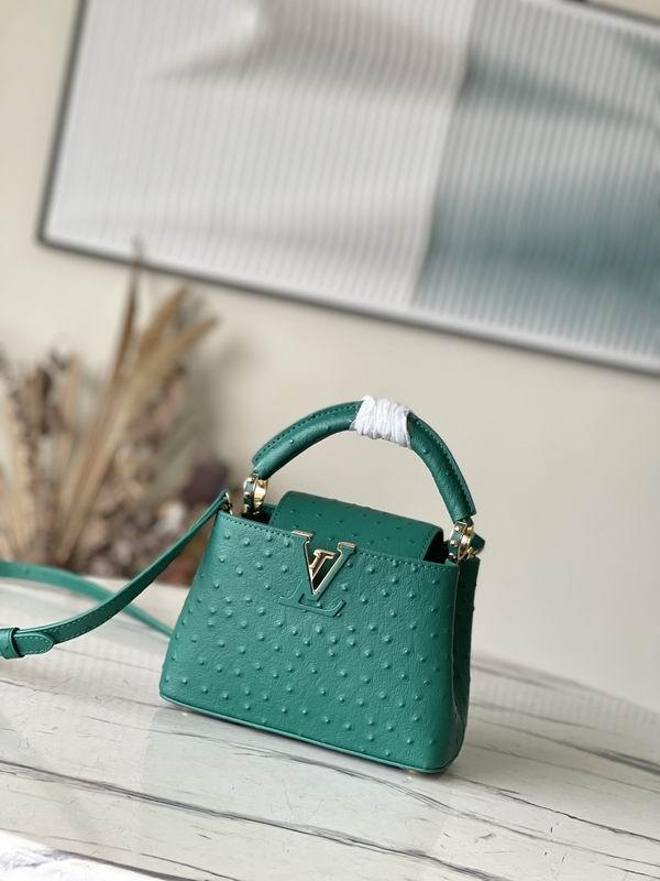 LV Handbags 253